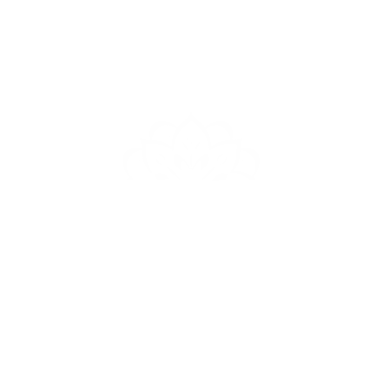 THE INDO TECH PROJECT LOGO