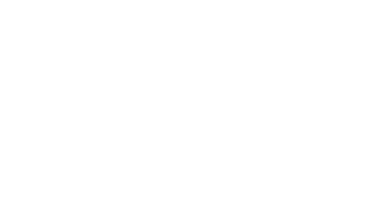 bollytwist logo w